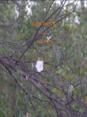 cover image of The Ecstasy and Agony